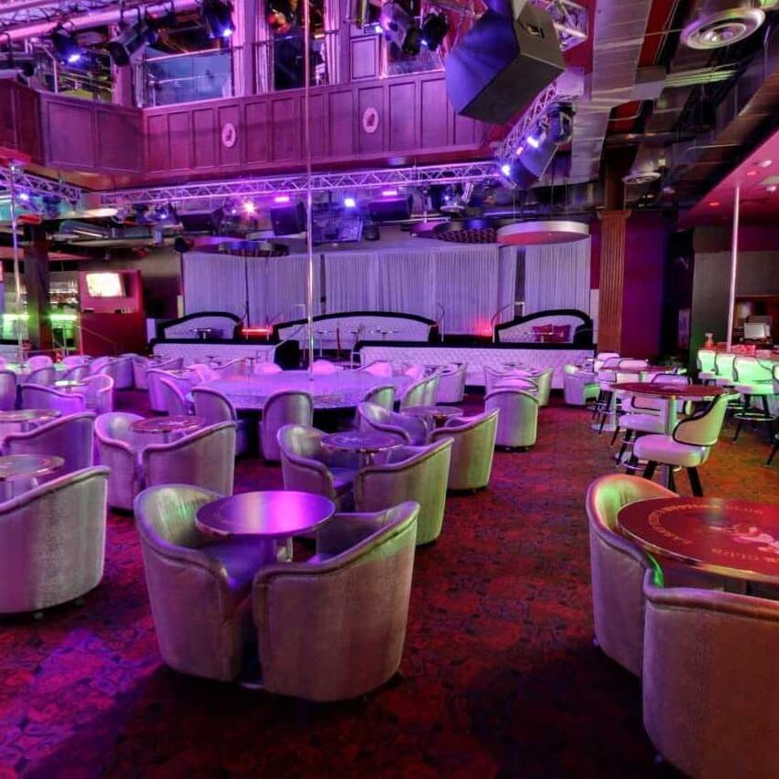 palomino club